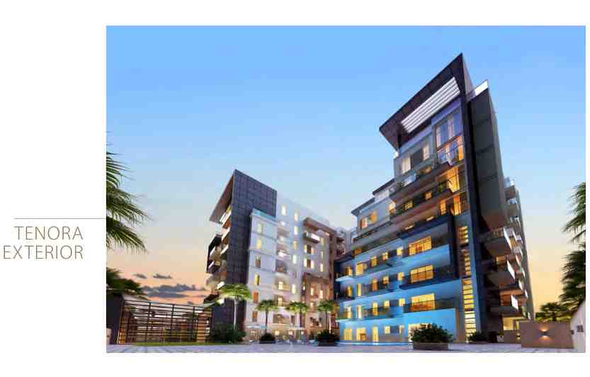 tenora-project-views