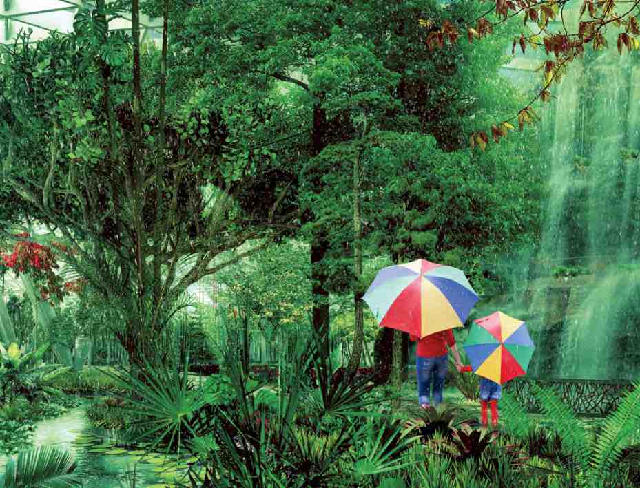 NAVITAS AKOYA OXYGEN Residential Studio and Hotel apartments STD 1 BR Rain foresh