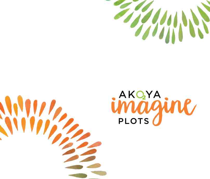 Akoya Imagine Plots
